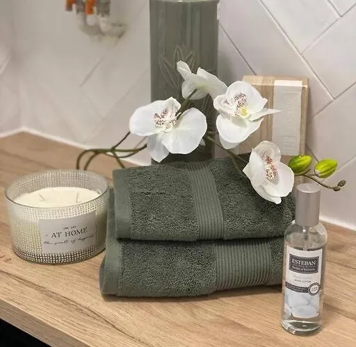 아파트 Charming Flat In Montmartre - Imhost 파리